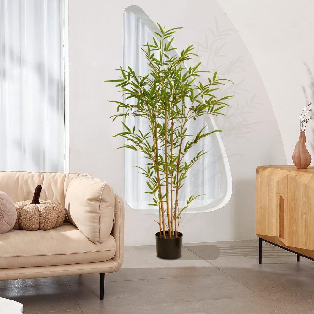 Natural Guest products in a home setting